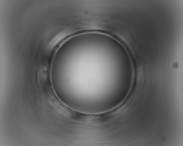X0000111231163200907021352