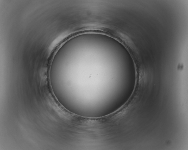 X0000111231164200907021352