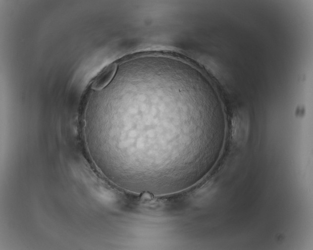 X0000111231165200907021352