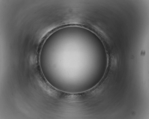 X0000111231166200907021352