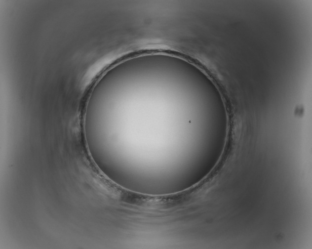 X0000111231167200907021352