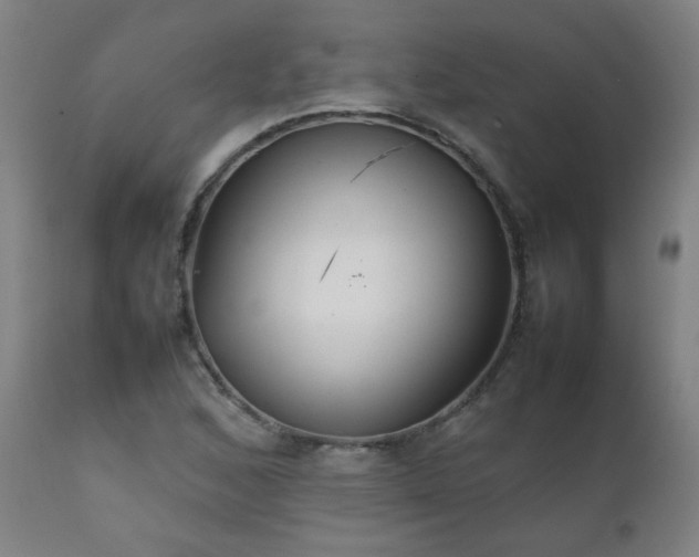 X0000111231168200907021352