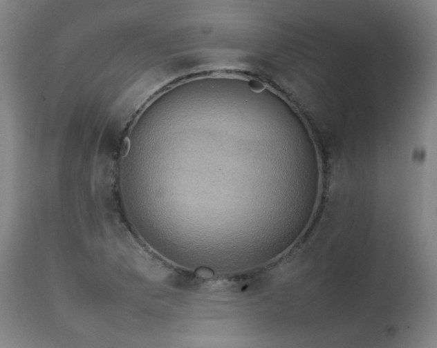 X0000111231169200907021352