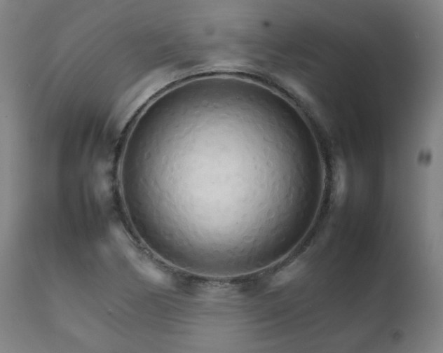 X0000111231170200907021352