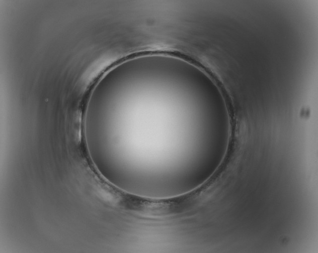 X0000111231171200907021352