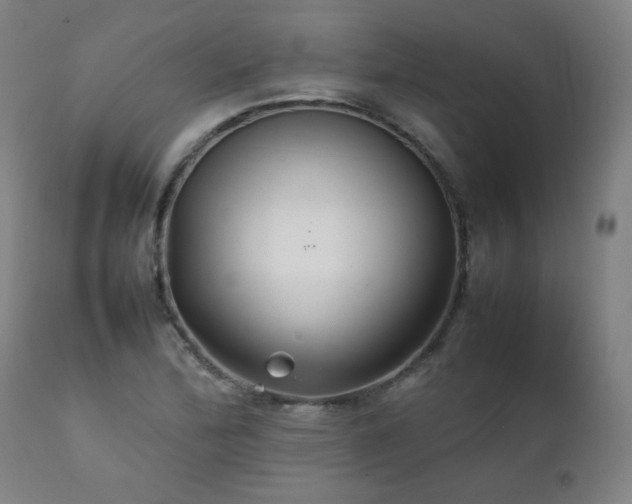 X0000111231172200907021352