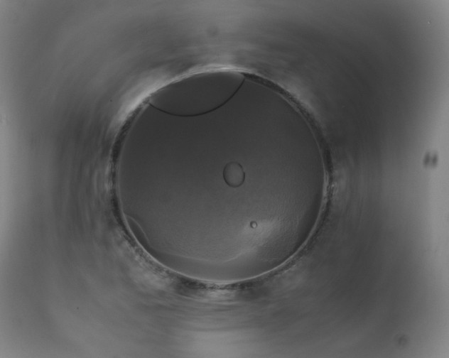 X0000111231173200907021352
