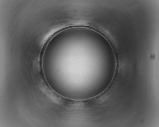 X0000111231174200907021352