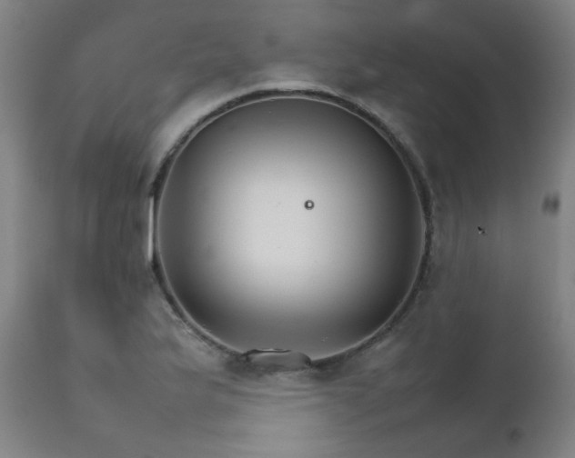 X0000111231175200907021352