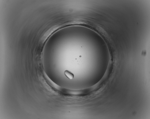 X0000111231177200907021352