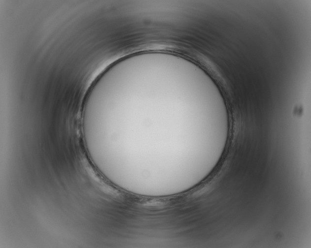 X0000111231178200907021352