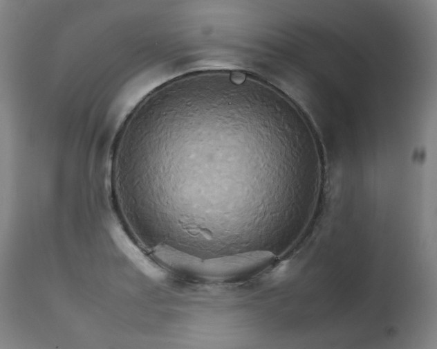 X0000111231179200907021352