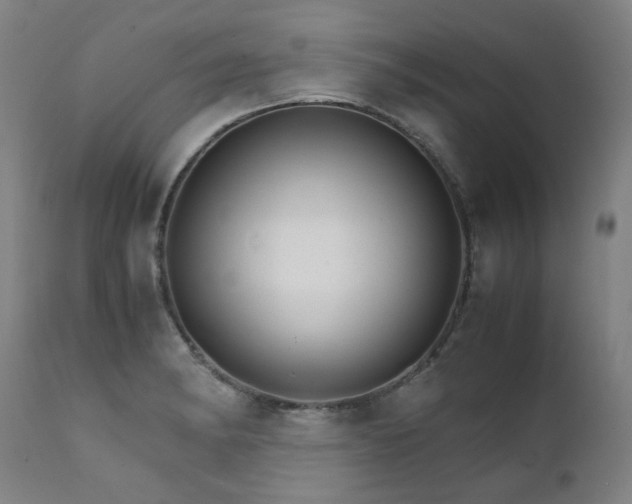 X0000111231182200907021352