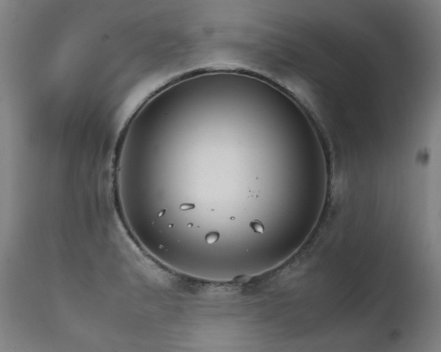 X0000111231183200907021352