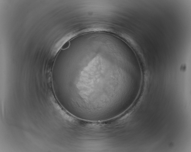 X0000111231185200907021351
