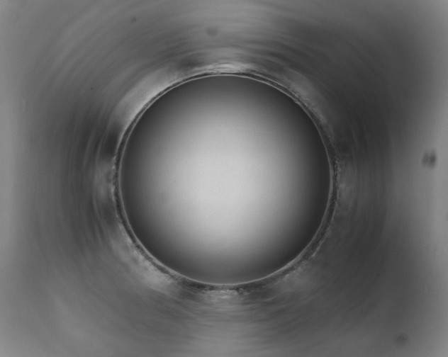 X0000111231186200907021351