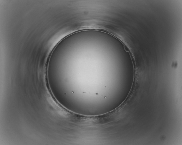 X0000111231187200907021351