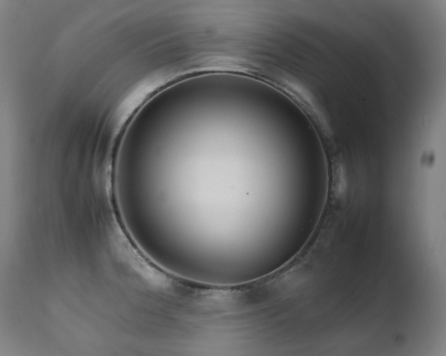 X0000111231188200907021351