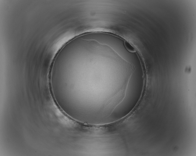 X0000111231189200907021351