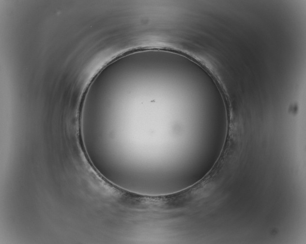 X0000111231191200907021351
