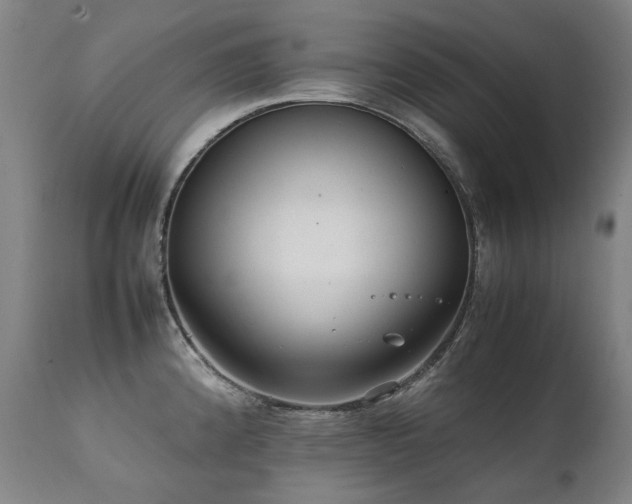 X0000111231192200907021351