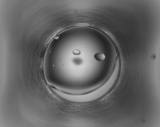 X0000111231193200907021351