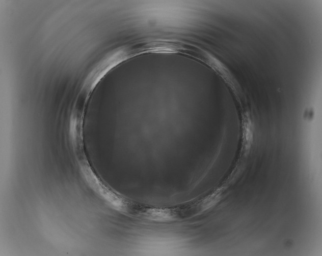 X0000111231194200907021351