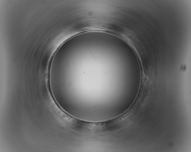 X0000111231195200907021351
