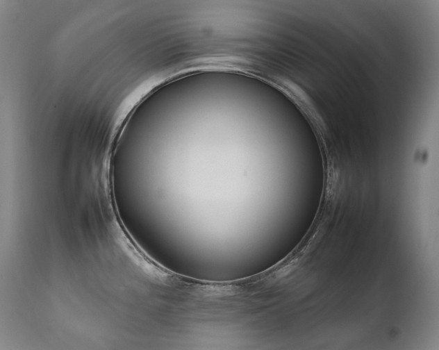 X0000111231196200907021351