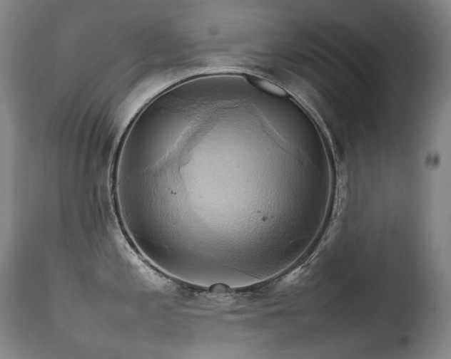 X0000111231197200907021351
