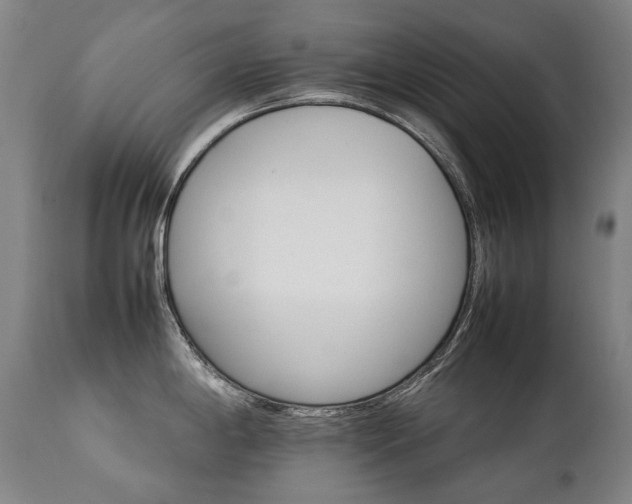 X0000111231198200907021351