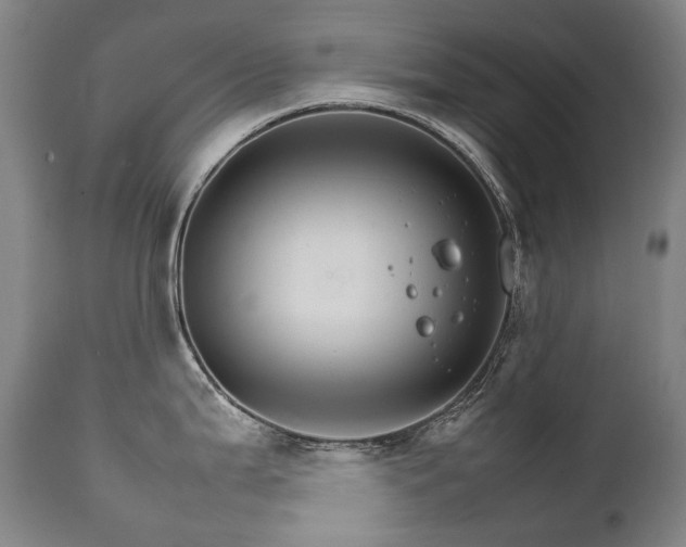 X0000111231199200907021351