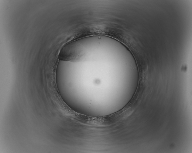 X0000111231201200907021351