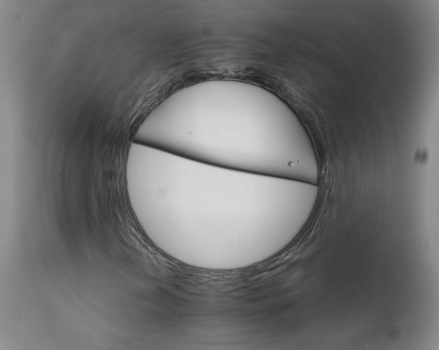X0000111231202200907021351