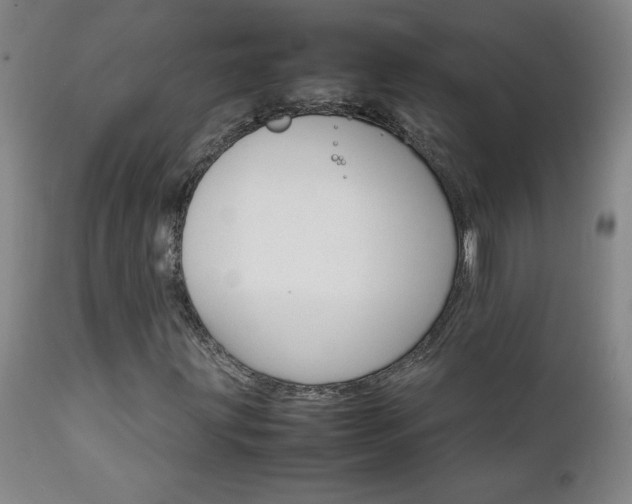 X0000111231203200907021351