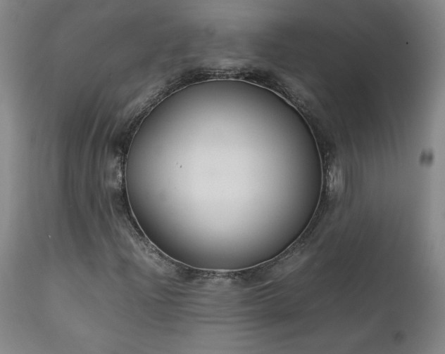 X0000111231204200907021351