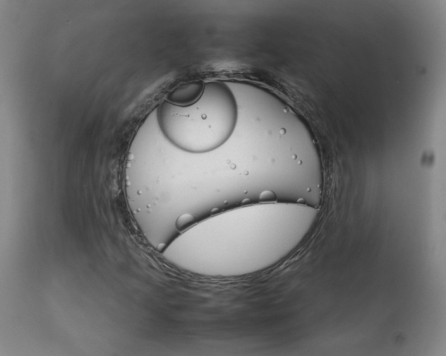 X0000111231205200907021351