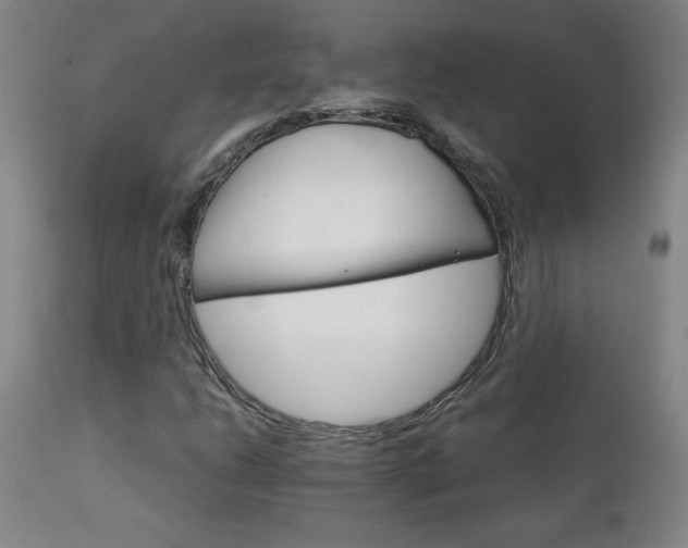 X0000111231206200907021351