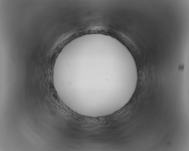 X0000111231207200907021351