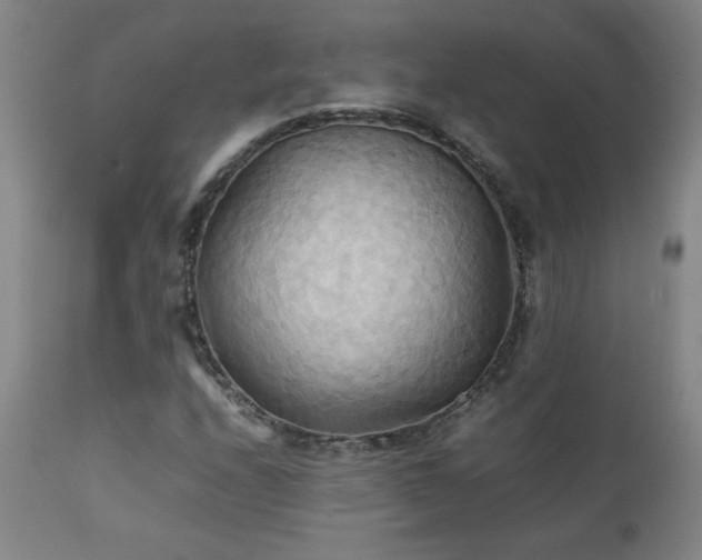 X0000111231208200907021351