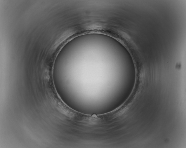 X0000111231209200907021351