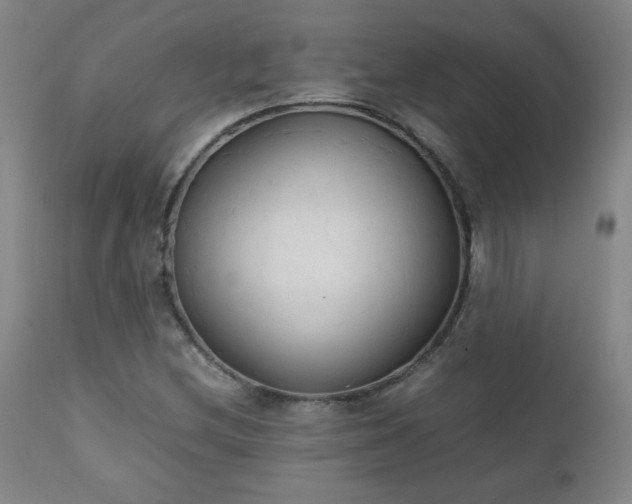 X0000111231212200907021351