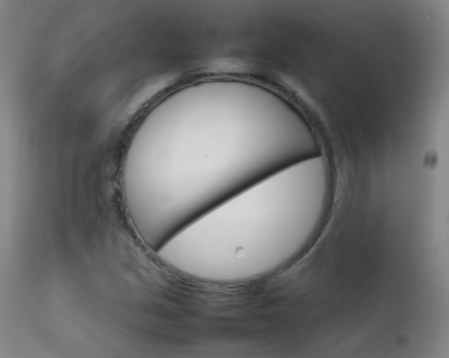 X0000111231213200907021351