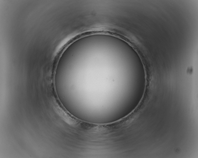 X0000111231216200907021351