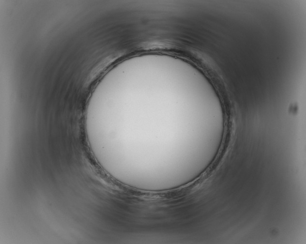 X0000111231217200907021351