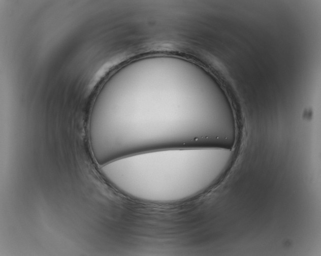 X0000111231218200907021351