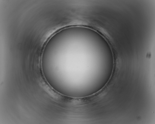 X0000111231220200907021351