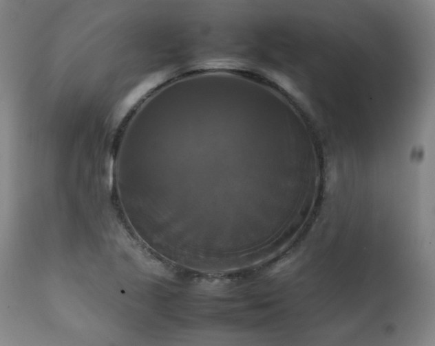 X0000111231221200907021351