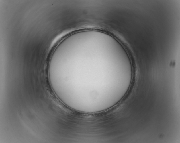 X0000111231222200907021351