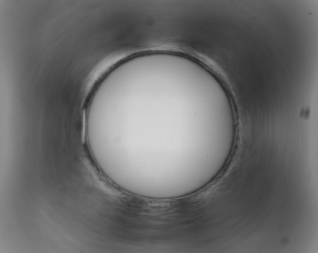 X0000111231223200907021351